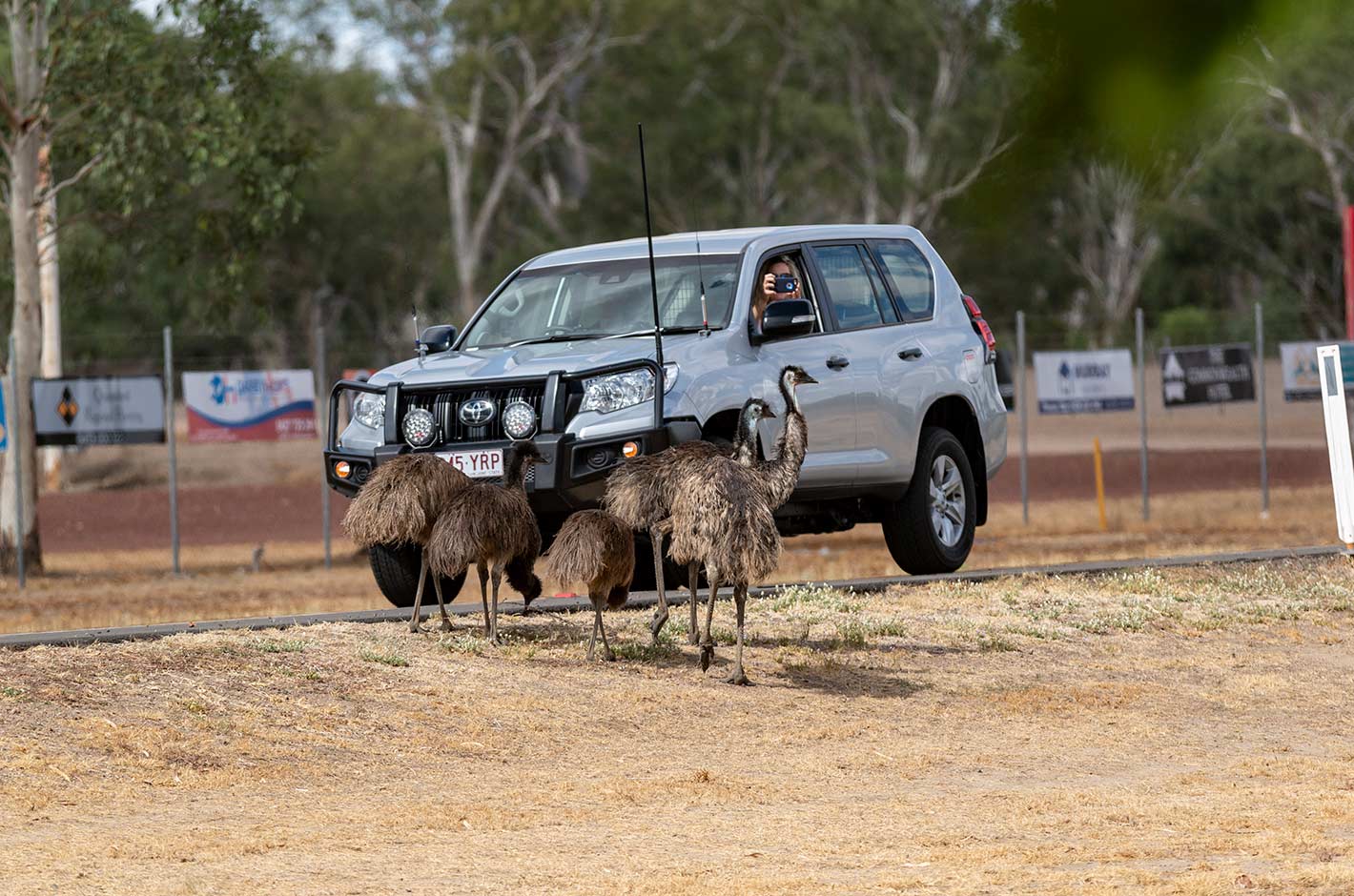 The Overlander Homestead Motel Roma Queensland