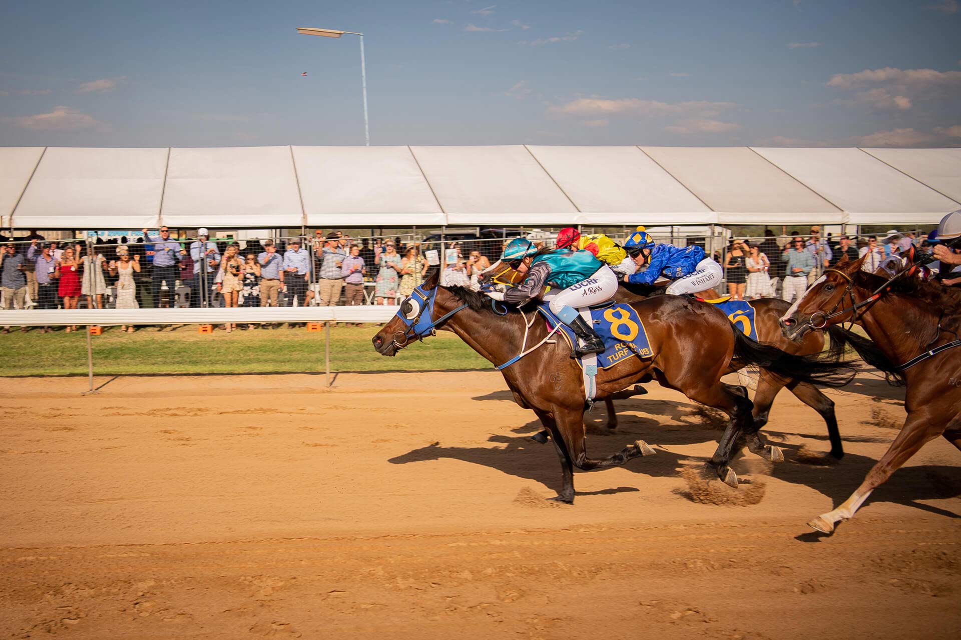Horse Races Roma Queensland